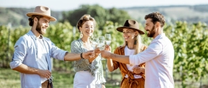 Primary image for the 🍾 “Sip & Sparkle: Wine Flight for Four at Mawby Winery Auction Item