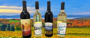 Primary image for the 🍷 Taste of Traverse – Chateau Chantal Wine 4-Pack Auction Item