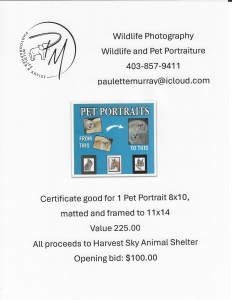 Primary image for the Pet Portrait by Paulette Murray Auction Item