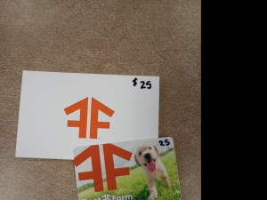 Primary image for the Item #13 $25.00 Fleet Farm Gift Card Auction Item