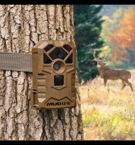 Primary image for the 36 - Trail Camera Auction Item
