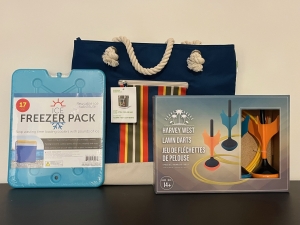 Primary image for the 92 - Summer Fun Auction Item