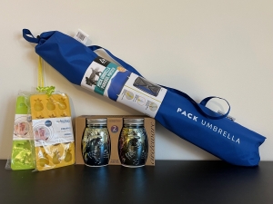 Primary image for the 124 - Beach Day Auction Item