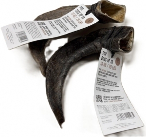 Primary image for the Sheep Horn, small x 2 (NEW) Auction Item