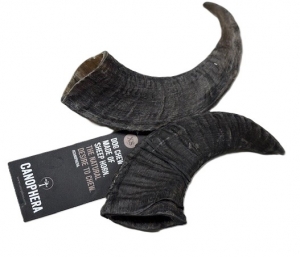 Primary image for the Sheep Horn, Xsmall x 2 (NEW) Auction Item