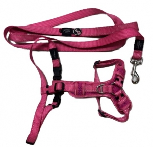 Primary image for the Rogz Harness & Lead, medium dog damage: no tags, slightly worn Auction Item
