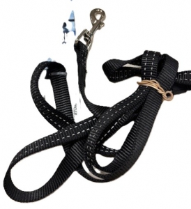 Primary image for the Rogz classic lead, 6