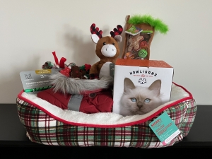 Primary image for the 150 - Rad in Plaid Dog and Cat Basket Auction Item