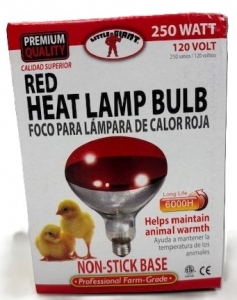 Primary image for the Red Heat Lamp Bulb , damage: pkg Auction Item