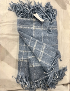 Secondary image for the Mia and Tess Blue Plaid Winter Scarf Auction Item