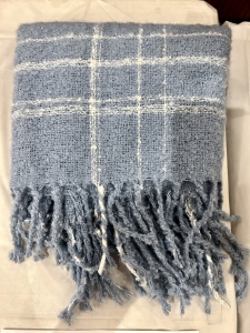 Primary image for the Mia and Tess Blue Plaid Winter Scarf Auction Item