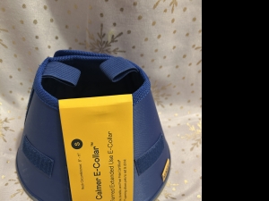 Primary image for the KVP Calmer E-Collar Auction Item