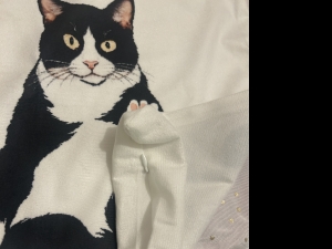 Secondary image for the  Feline Pillow Cover Auction Item