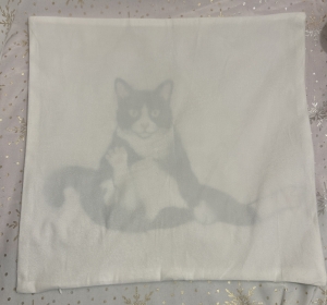 Secondary image for the  Feline Pillow Cover Auction Item