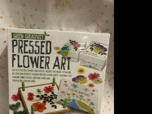Primary image for the Pressed Flower Art Auction Item