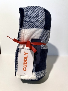 Primary image for the Cuddly Blue and White Checked Blanket Auction Item