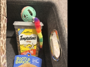 Secondary image for the Cat Stuff Auction Item