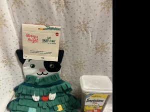 Primary image for the Hide & Seek w/ Temptation Treats Auction Item