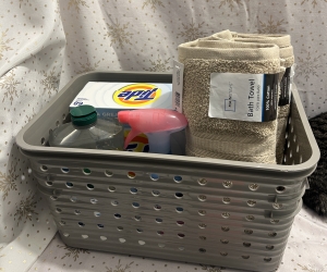 Primary image for the Basket of Necessities  Auction Item
