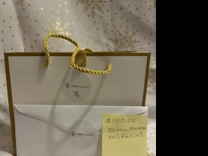 Primary image for the Skin Therapy Massage & Facial Gift Card Auction Item