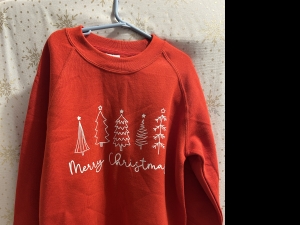 Secondary image for the Merry Christmas Children's Sweatshirt Auction Item