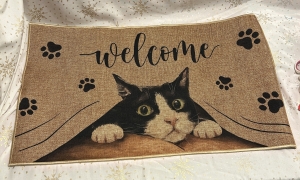 Secondary image for the Welcome Cat Door Mat Auction Item