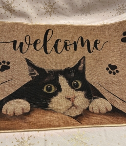 Secondary image for the Welcome Cat Door Mat Auction Item