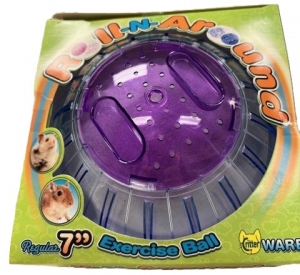 Primary image for the Roll-N-Around exercise ball, 7