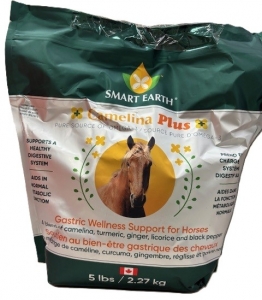 Primary image for the Camelina Plus, gastric wellness support for horses, 5lbs - damaged pkg Auction Item
