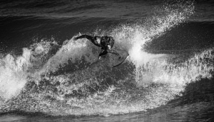 Primary image for the 2 Hour Photography Session With Dos Coyotes Auction Item