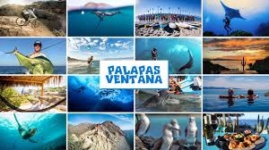 Primary image for the Snorkel & Kite/Wing at Isla Cerralvo and cross back for 8 people Auction Item