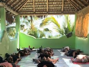 Primary image for the Season Pass of yoga at Casa Verde for 26/27 season Auction Item