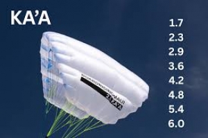 Primary image for the BRM 4.2 Para Wing Auction Item