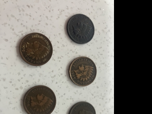 Primary image for the 5 Indian Cents  Auction Item