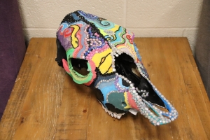 Primary image for the Cow Skull  Auction Item