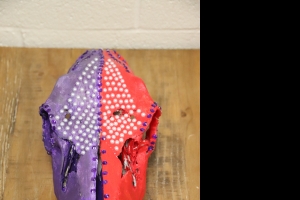 Primary image for the Cow Skull Auction Item