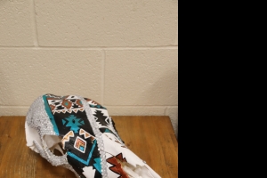 Primary image for the Cow Skull Auction Item