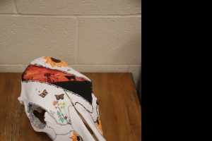 Primary image for the Cow Skull Auction Item