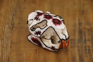 Primary image for the Beaver Skull Auction Item