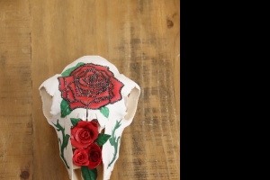 Primary image for the Sheep Skull  Auction Item