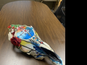 Primary image for the Horse Skull  Auction Item