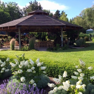 Secondary image for the EDWARDS GREEN HOUSE Auction Item