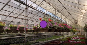 Secondary image for the EDWARDS GREEN HOUSE Auction Item