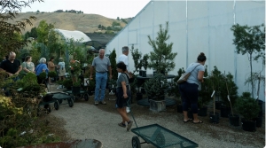 Secondary image for the EDWARDS GREEN HOUSE Auction Item