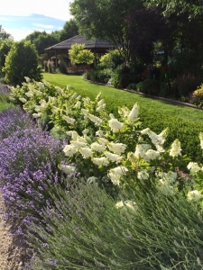 Secondary image for the EDWARDS GREEN HOUSE Auction Item