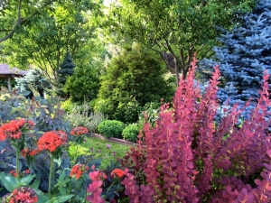 Secondary image for the EDWARDS GREEN HOUSE Auction Item