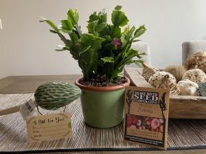 Secondary image for the NORTH END ORGANIC NURSERY Auction Item