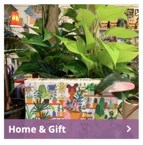 Secondary image for the NORTH END ORGANIC NURSERY Auction Item