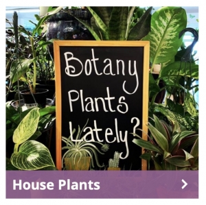 Secondary image for the NORTH END ORGANIC NURSERY Auction Item