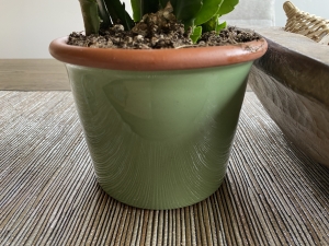 Secondary image for the NORTH END ORGANIC NURSERY Auction Item